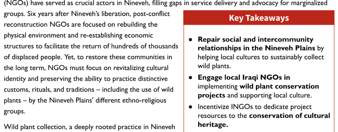 Policy Brief- Iraqi NGOs are Key to Ecological and Cultural Conservation in the Nineveh Plains